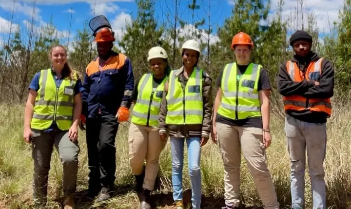 Six people in hard hats and hi-vis vests standing in long grass in front of young pine trees.